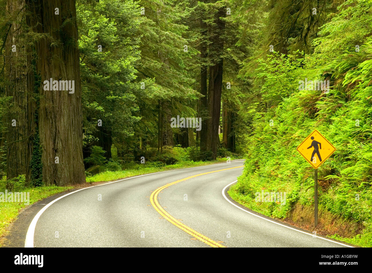 Autostrada curva, attraversamento pedonale segno. Foto Stock
