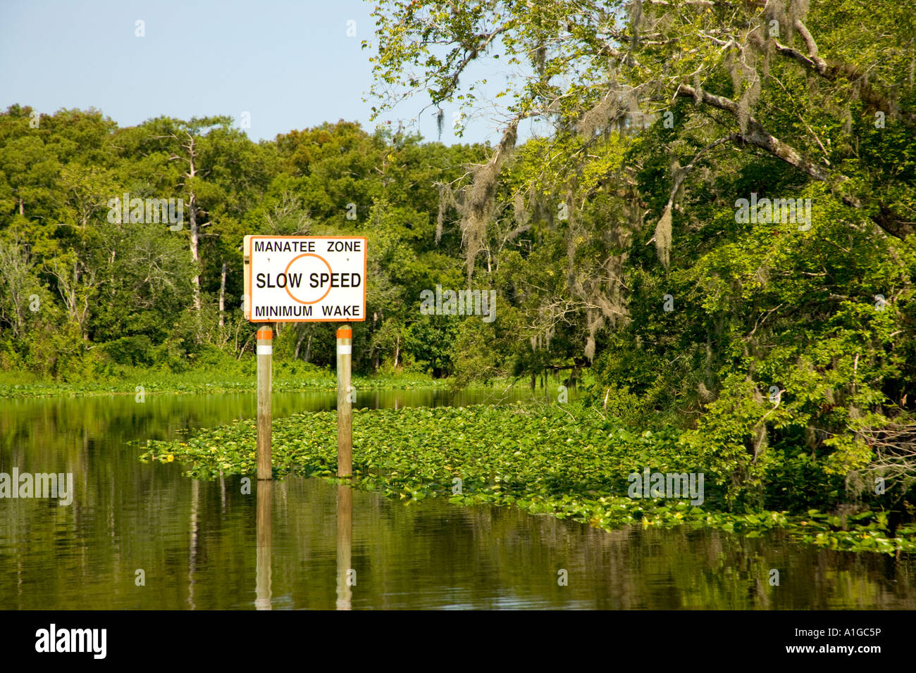 Segno "Zona anatee, velocità lenta' Blue Springs State Park, Florida Foto Stock