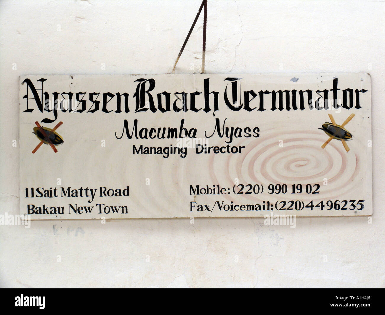 Roach terminator segno aziendale Bakau Gambia Foto Stock