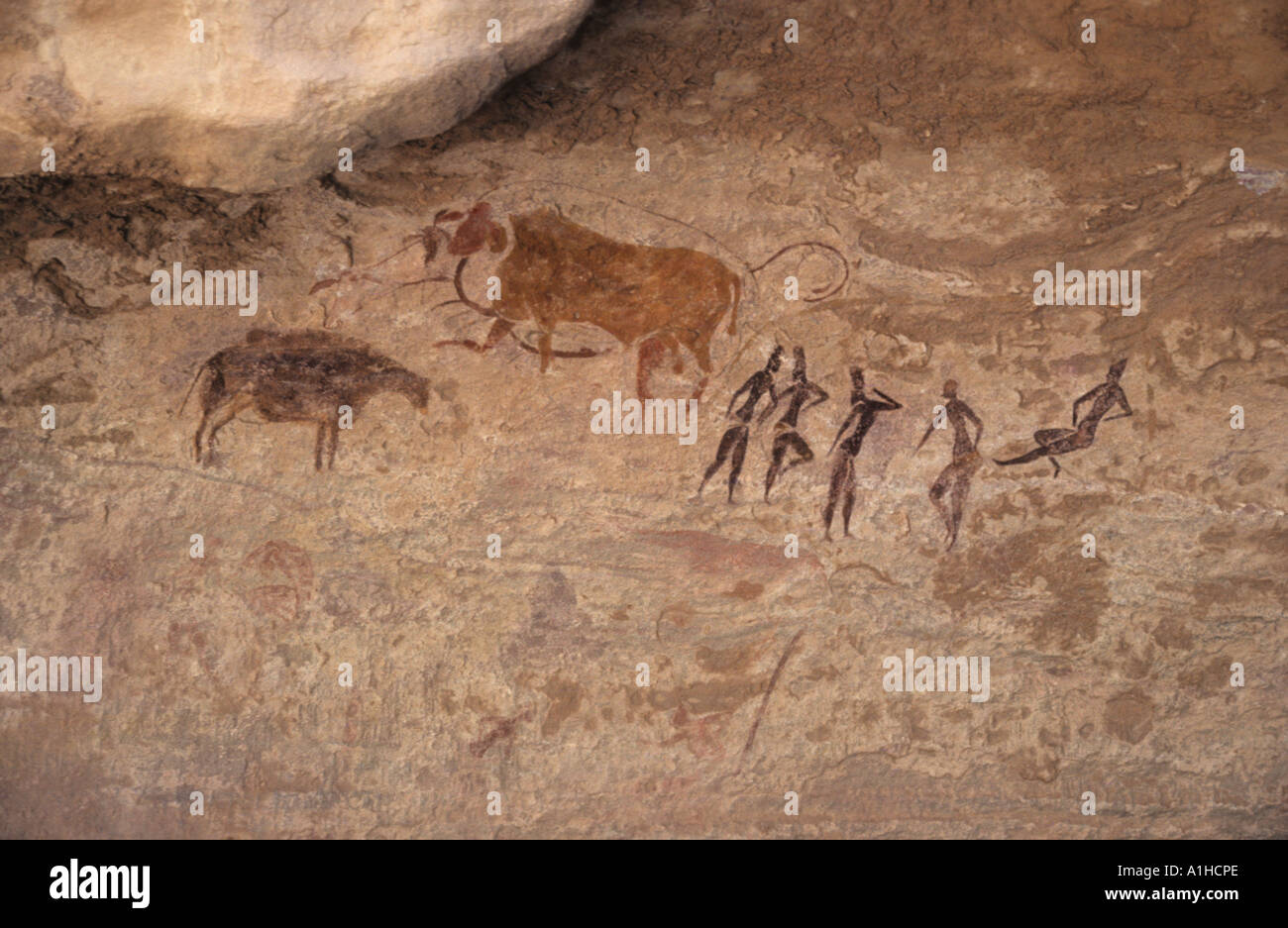 Rock affreschi dipinti a Jabbaren del Tassili n Ajjer plateau sopra Djanet centrale nel deserto del Sahara Africa Algeria Foto Stock