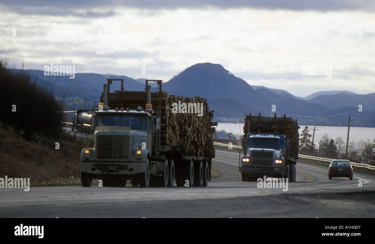 Legname camion lungo il fiume San Lorenzo in Canada Foto Stock