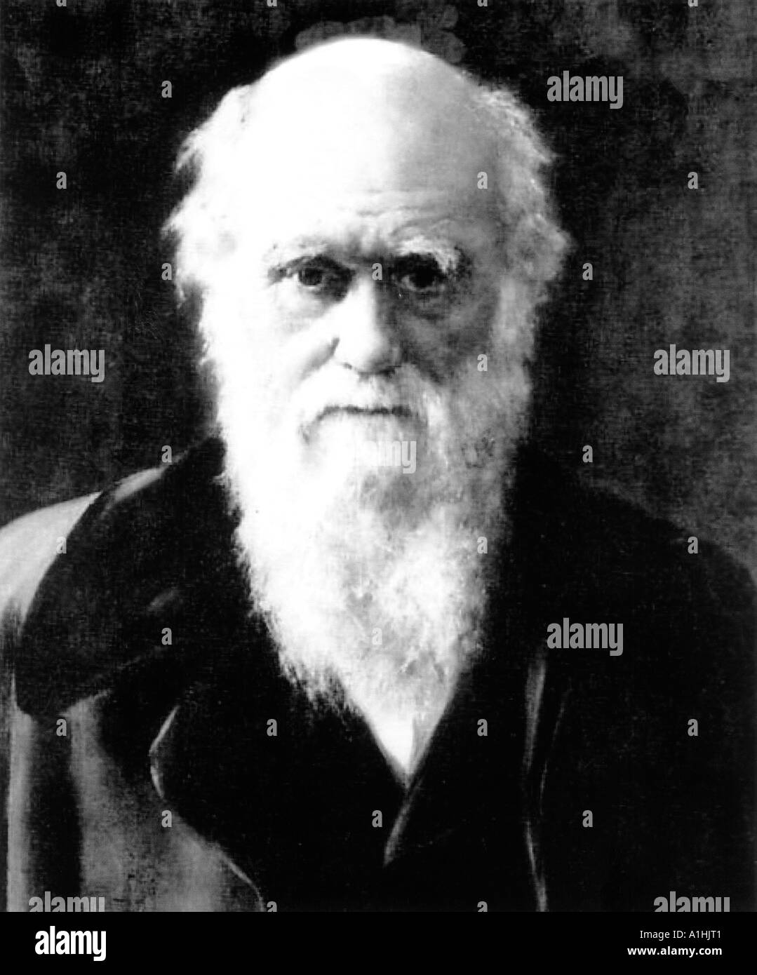 Ritratto di Charles Darwin da John Collier dettaglio Foto Stock