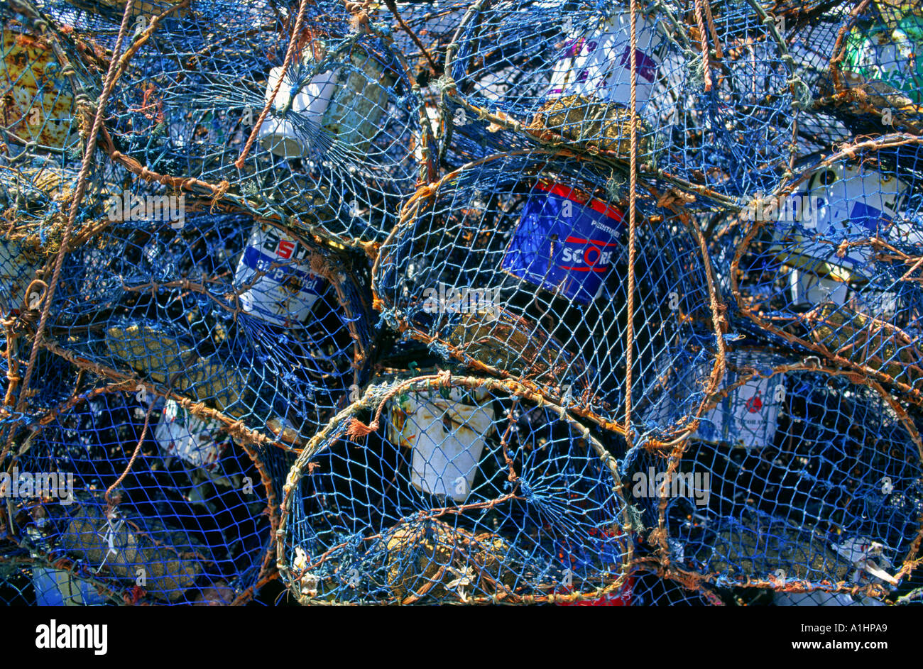 Pesce net essaouira marocco Foto Stock