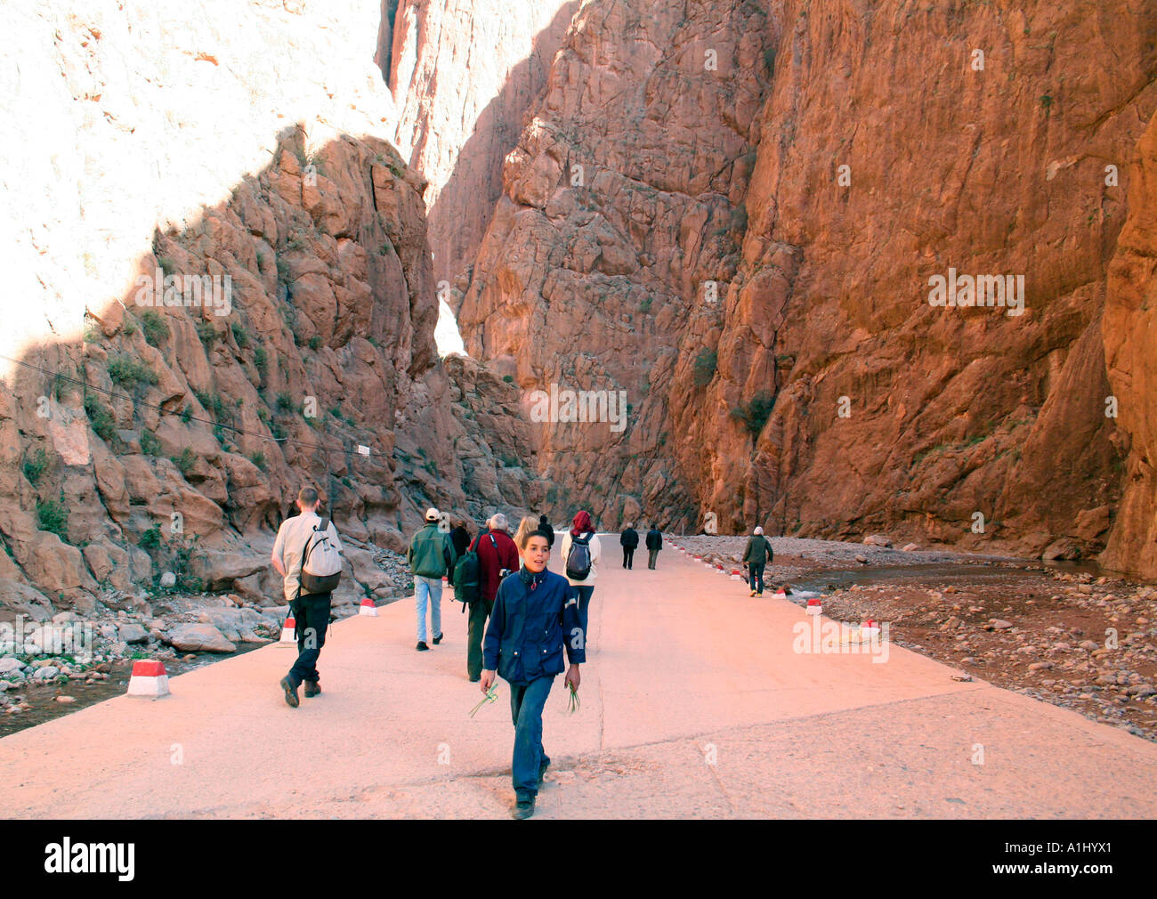 Todra Gorge vicino a Tinerhir, Marocco, Africa nord-occidentale Foto Stock