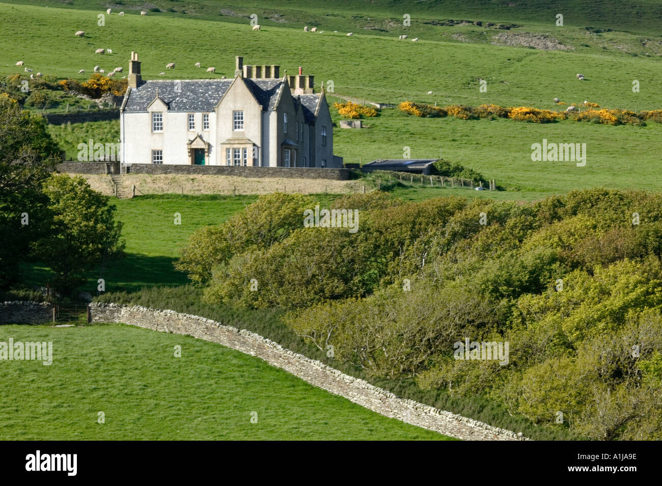 Una tipica casa sulla terraferma Orkney in Scozia UK Foto Stock