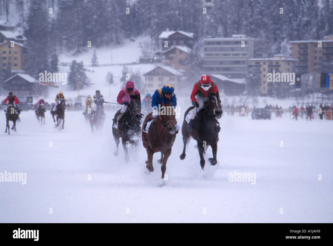Corsa di cavalli al White Turf torneo St Moritz svizzera Foto Stock
