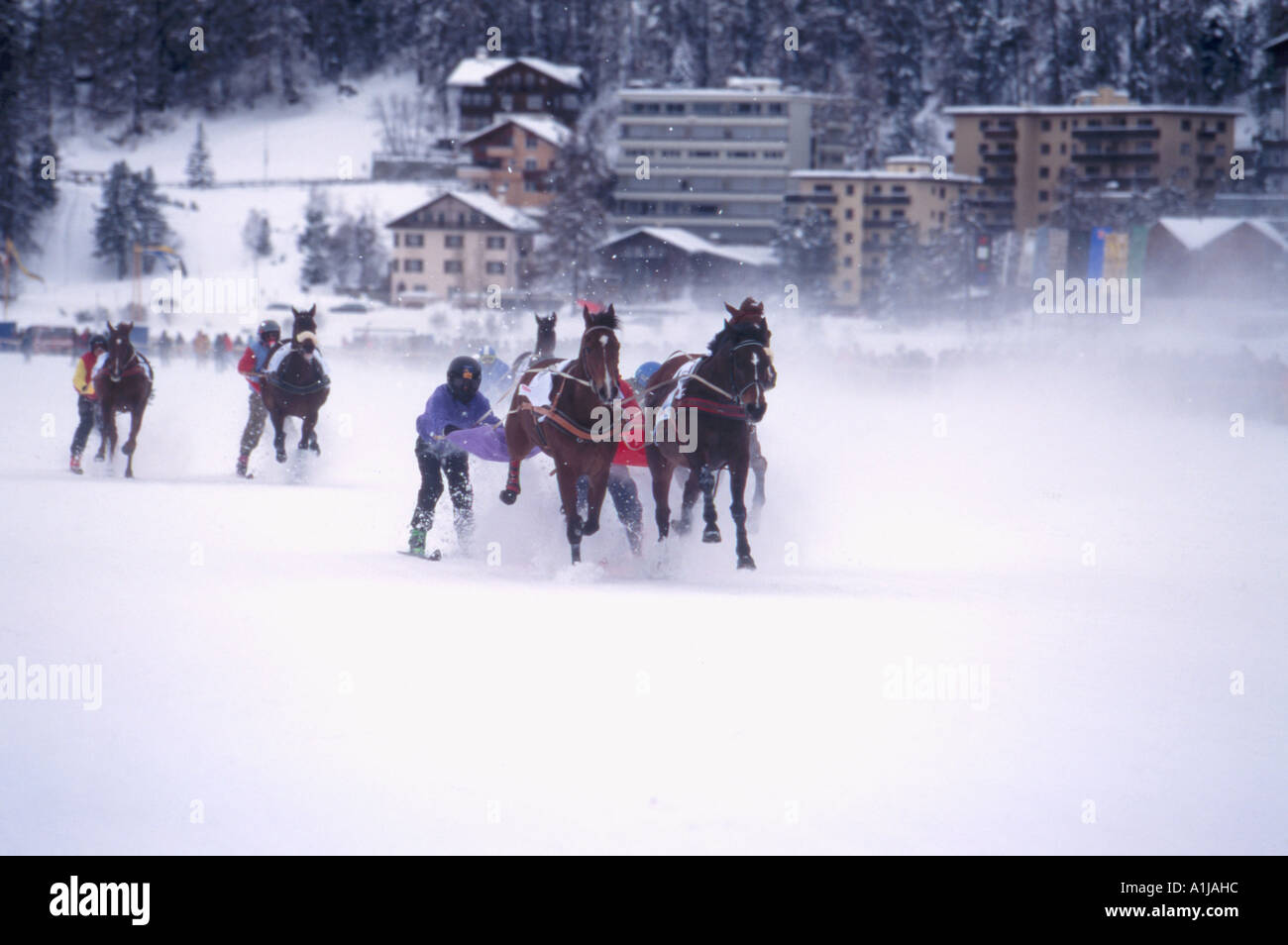 Skijoring in gara il White Turf torneo St Moritz svizzera Foto Stock