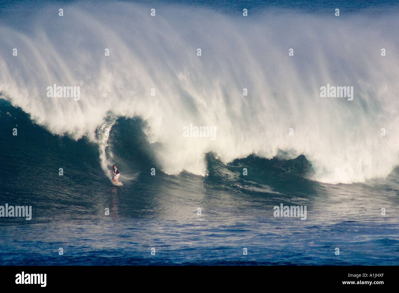Un surfista catture una massiccia ondata a Waimea Bay North Shore Oahu Hawaii Foto Stock