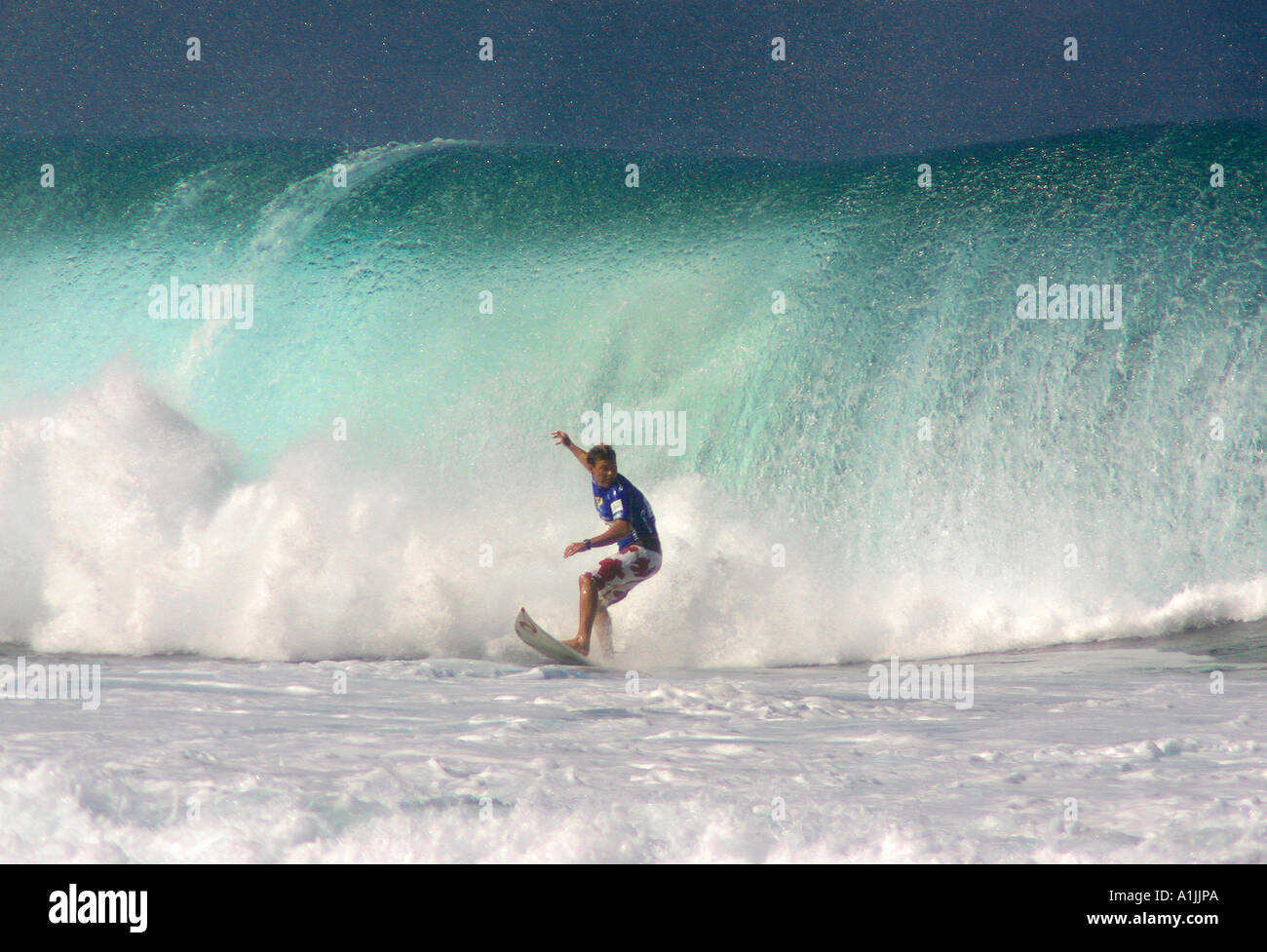 Pancho Sullivan fuoriesce un tubo protettivo nella pipeline Masters surfing contest North Shore Oahu Hawaii Foto Stock