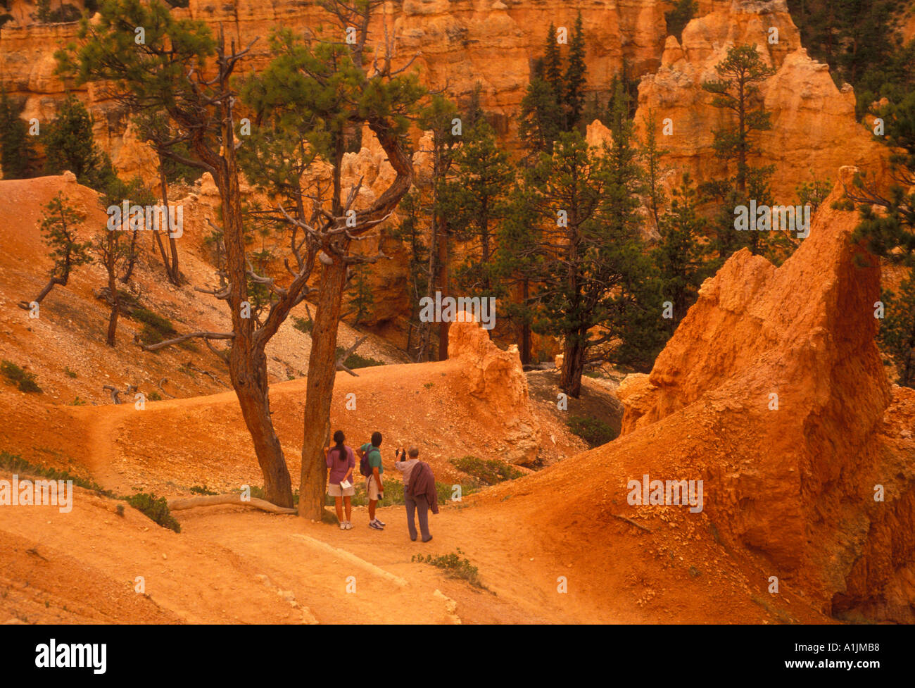 Persone, turisti, escursionisti, escursionismo, escursioni sentiero, Queen's garden trail, Bryce Canyon Bryce Canyon National Park, Utah, Stati Uniti, America del nord Foto Stock