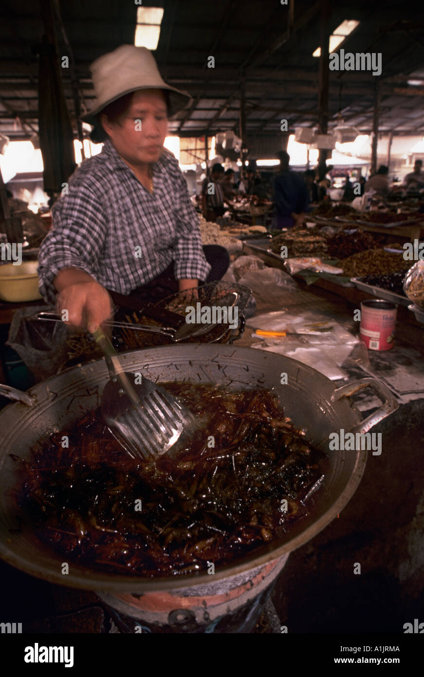 Commercio di specie selvatiche della Thailandia cotte cavallette cavallette altri insetti per la vendita come cibo mercato stradale Chaing Mai Foto Stock