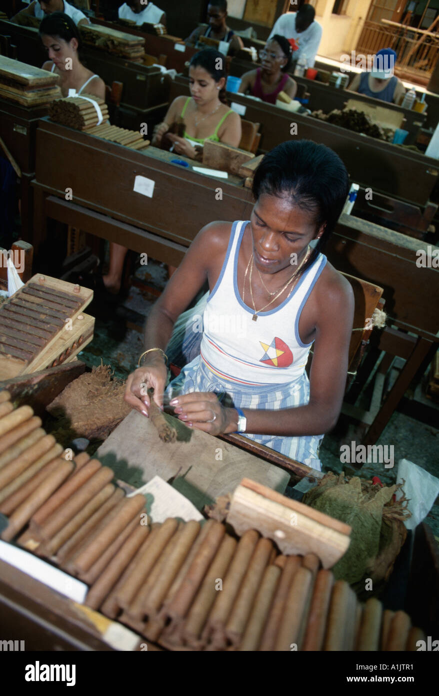 L'Avana Cuba Handrolling sigari al Real Fabrica de Tabacos Partagas Partagas fabbrica di sigari Foto Stock