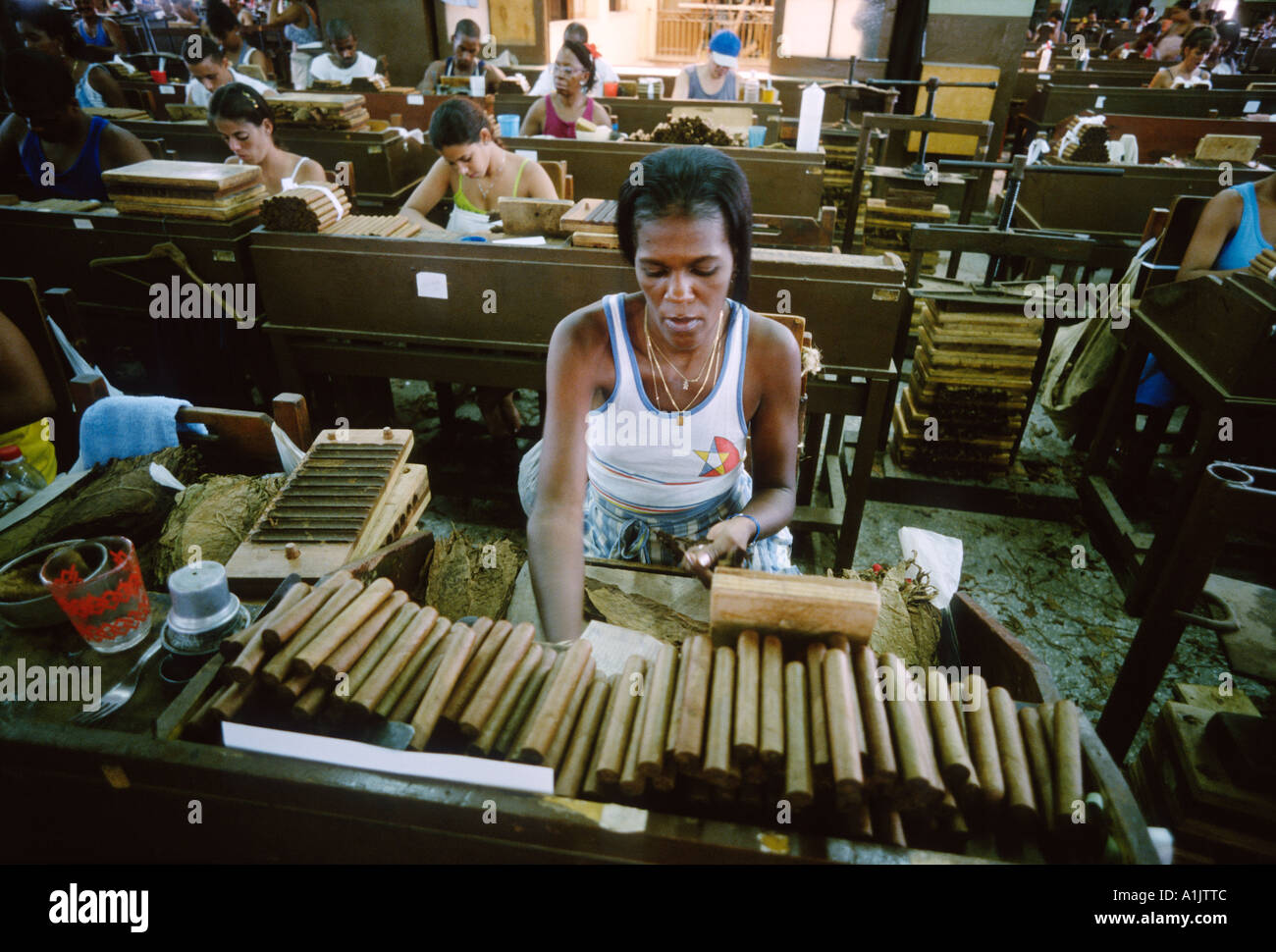L'Avana Cuba Handrolling sigari al Real Fabrica de Tabacos Partagas Partagas fabbrica di sigari Foto Stock