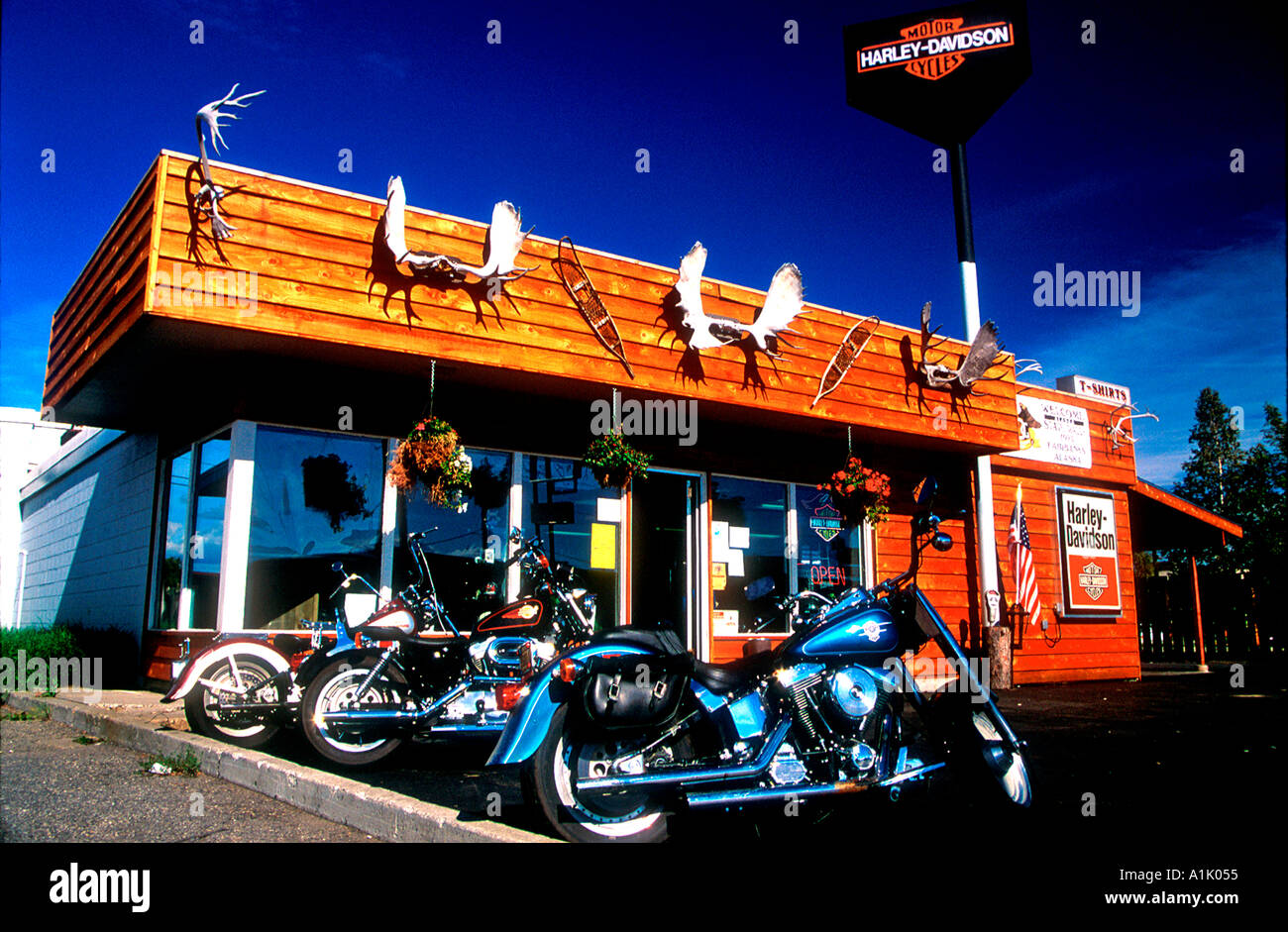 La maggior parte nord di Harley Davidson concessionario Fairbanks Alaska  USA Foto stock - Alamy