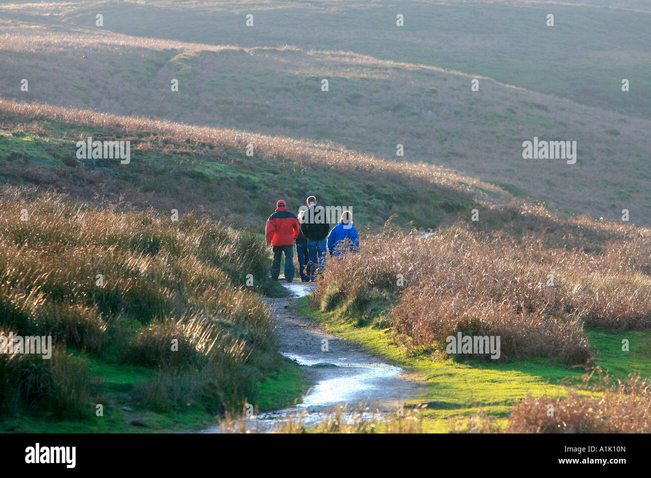 Walkers sul mori sopra Haworth Foto Stock