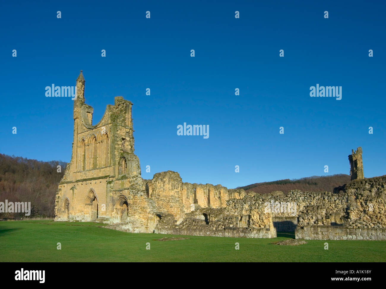 Abbazia di Byland, Coxwold, North Yorkshire, Inghilterra, Gran Bretagna, Regno Unito Foto Stock