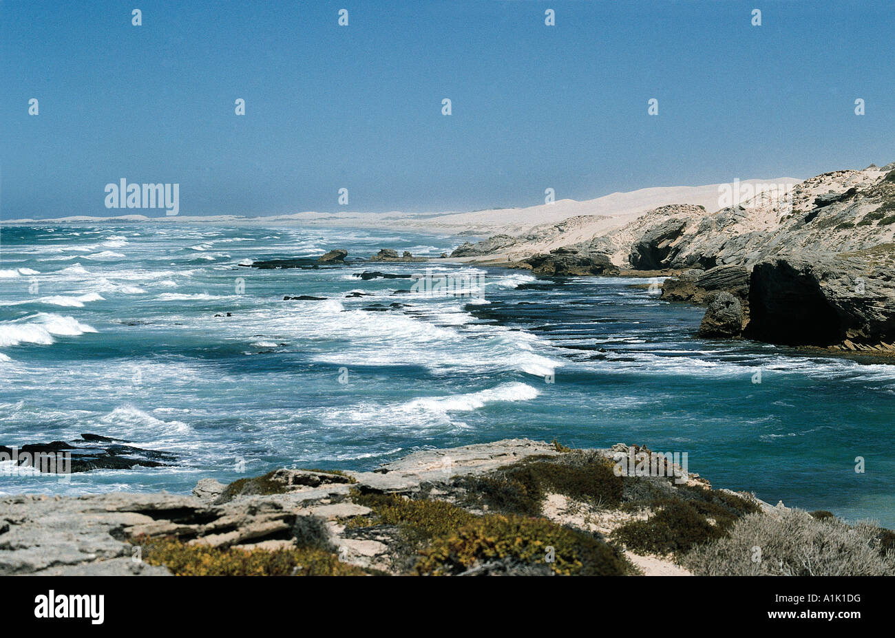 Mare mosso sulla costa a Koppie Alleen de Hoop Riserva Nazionale di Cape Overberg Sud Africa Foto Stock