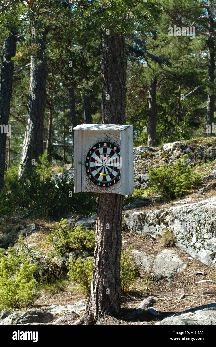 Fuori porta scheda dart pub fuori gioco sport al coperto le frecce la foresta bersaglio legno albero Foto Stock