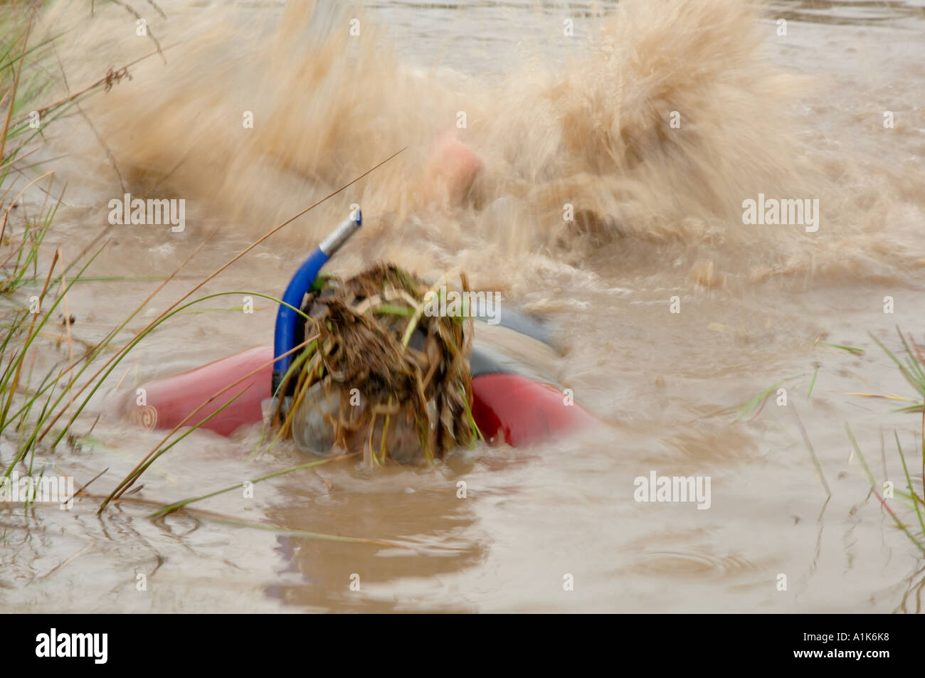 Concorrente nel mondo annuale Bog Snorkelling campionati, Llanwrtyd Wells, Powys, Wales, Regno Unito Europa Foto Stock