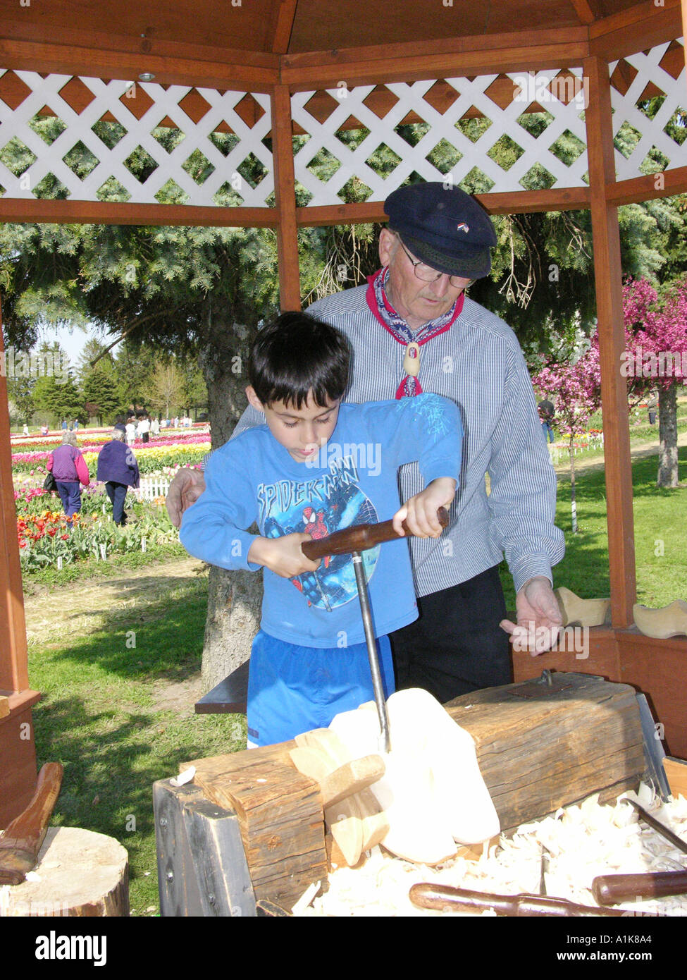 Holland Michigan Tulip Festival rendendo scarpe di legno Foto Stock