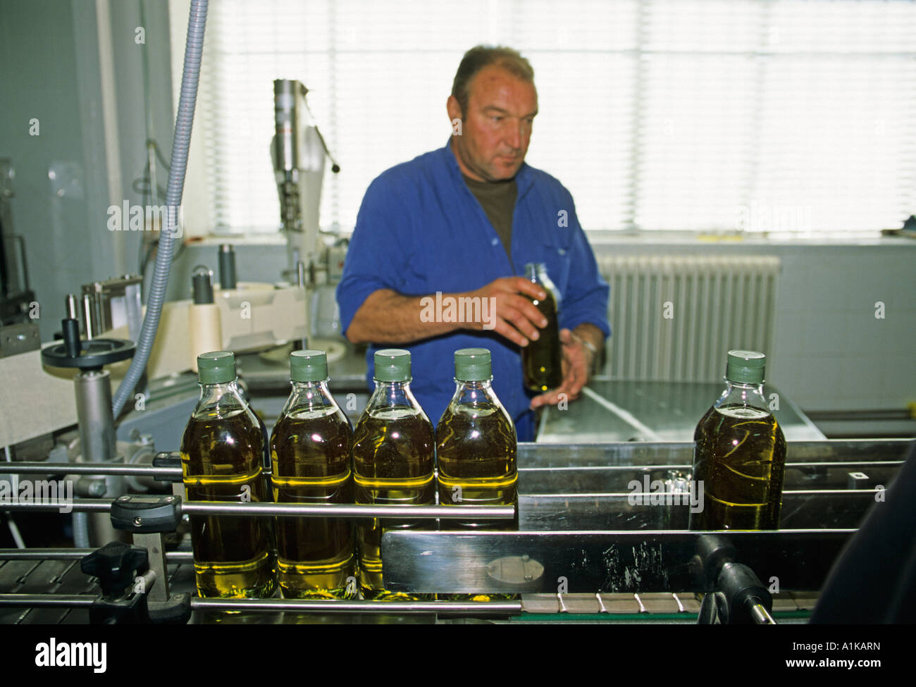Lavoratore di riempimento di olio di oliva in bottiglie, Provincia di Jaen, Andalusia, Spagna, Europa Foto Stock