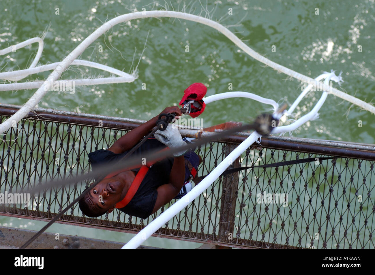 Controllo della fune, Bungee Jumping dal Victoria Falls Bridge, Zambia, Zimbabwe Foto Stock