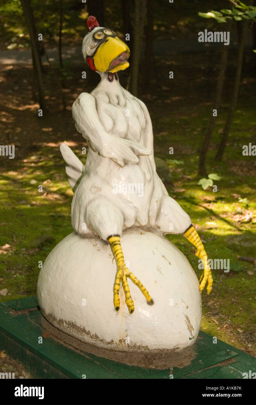 Seduta di pollo su un uovo alla foresta magica di Lake George New York Foto Stock