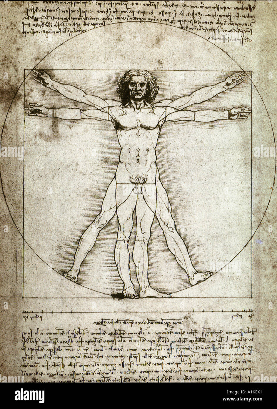 L'uomo vitruviano schizzo di Leonardo da Vinci Foto Stock