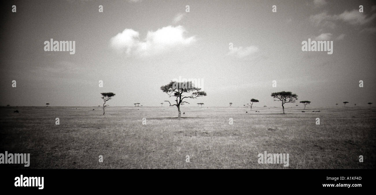 Wild East African paesaggio Foto Stock