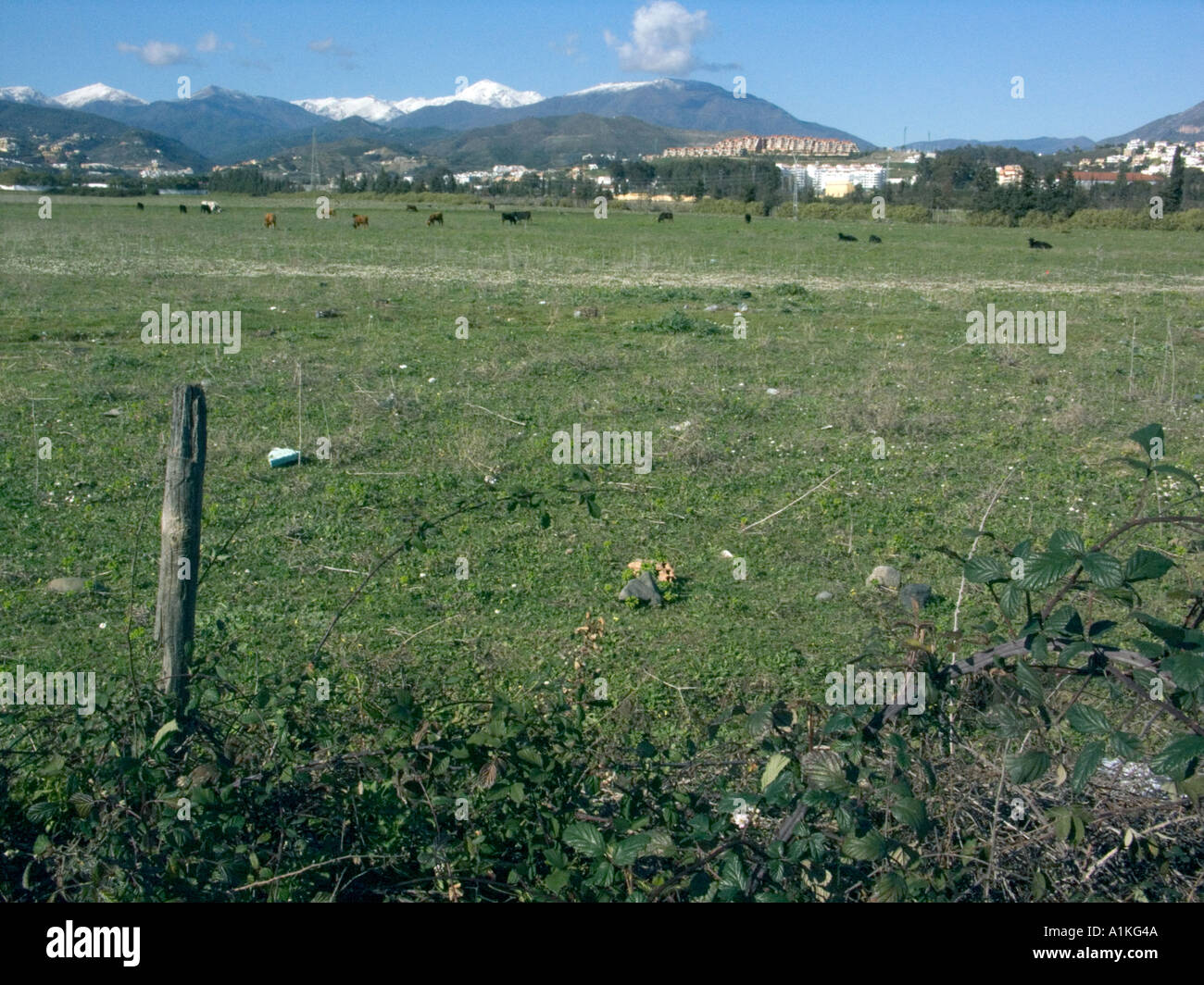 La neve sulla cima di una montagna di neve in Spagna in Spagna las Serranías de Ronda montagne andalusia andalusia andaluso andaluso Foto Stock