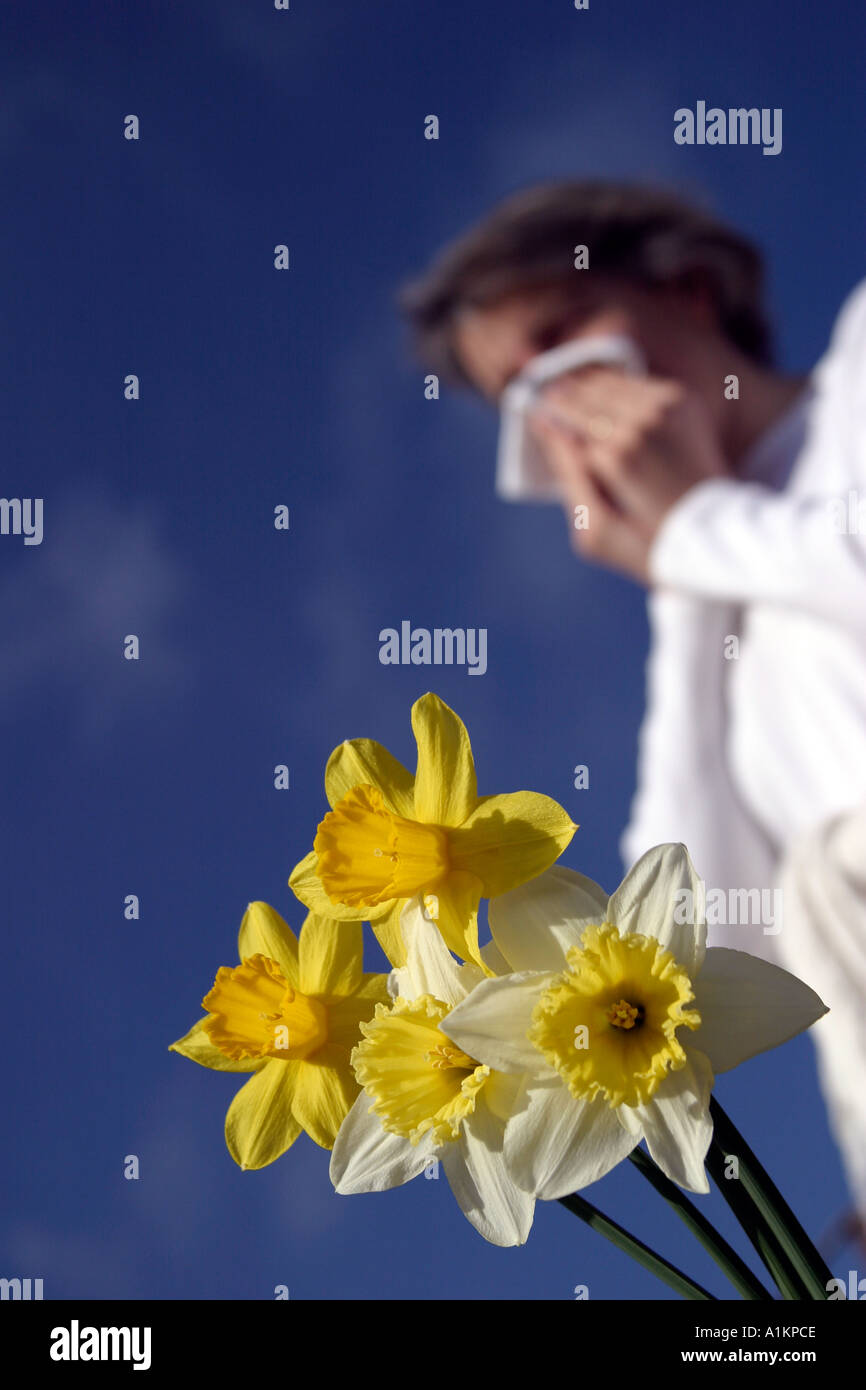 Allergia ai pollini Foto Stock