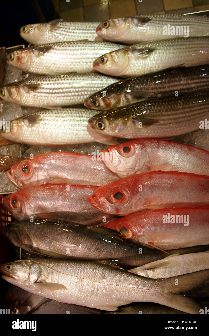 Pesce fresco in Wanchai, sul mercato di Hong Kong Foto Stock