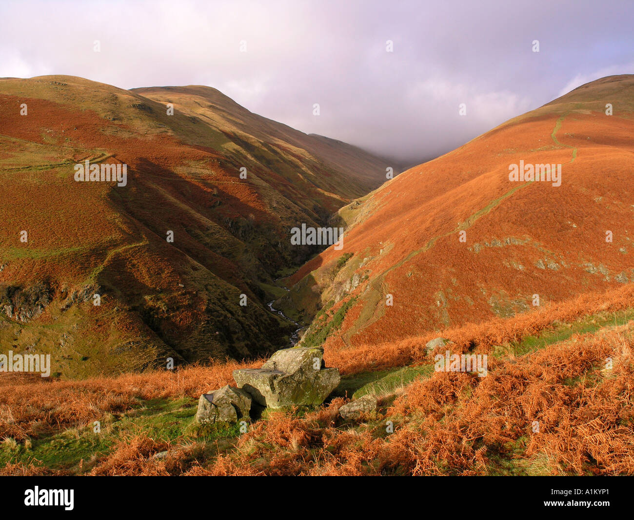 In inverno il sole in le Ochil Hills a Tillicoultry Scozia Scotland Foto Stock