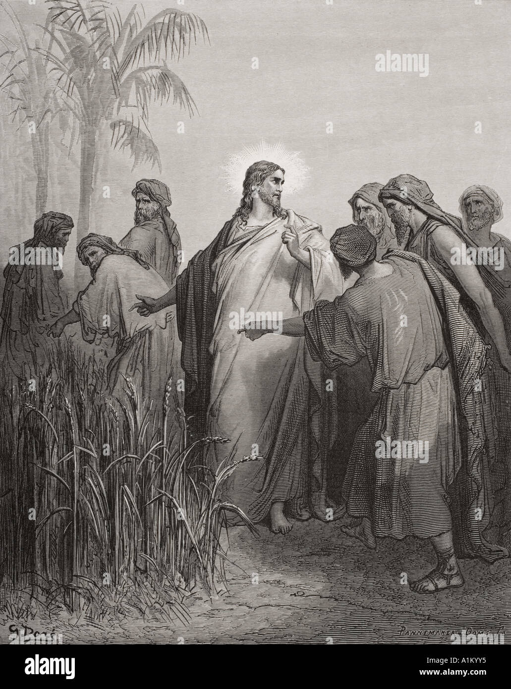 Incisione dall'Dore la Bibbia che illustra Mark II 23. Gesù e i suoi discepoli nel campo di grano da Gustave Dore Foto Stock