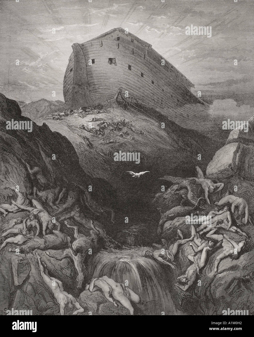 Incisione dall'Dore la Bibbia che illustra la genesi xiii 8 e 9. La Colomba mandò dall'arca da Gustave Dore Foto Stock