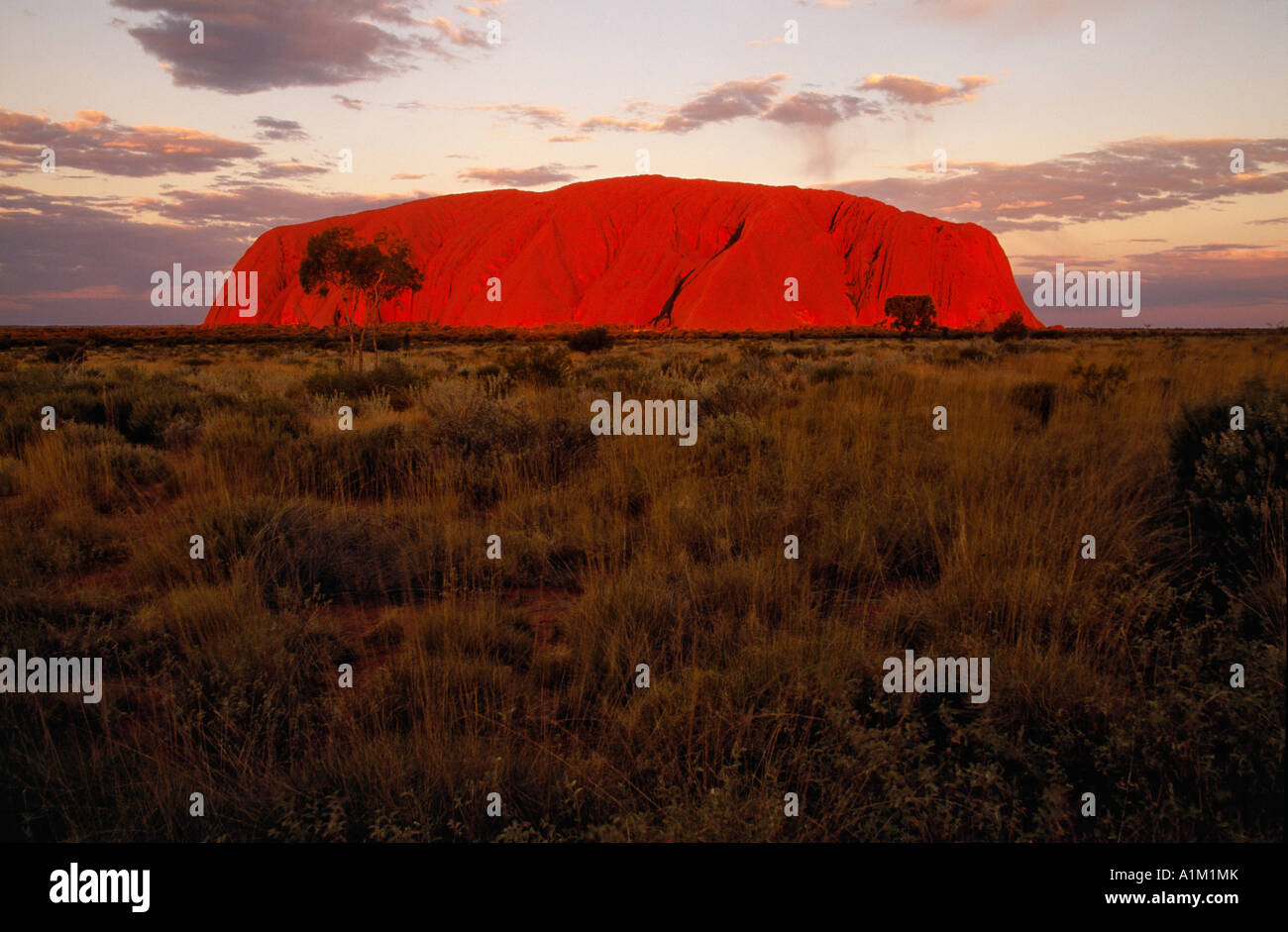 Ayers Rock in aumento nel deserto al tramonto Parco Nazionale di Uluru Territorio del Nord Australia Foto Stock