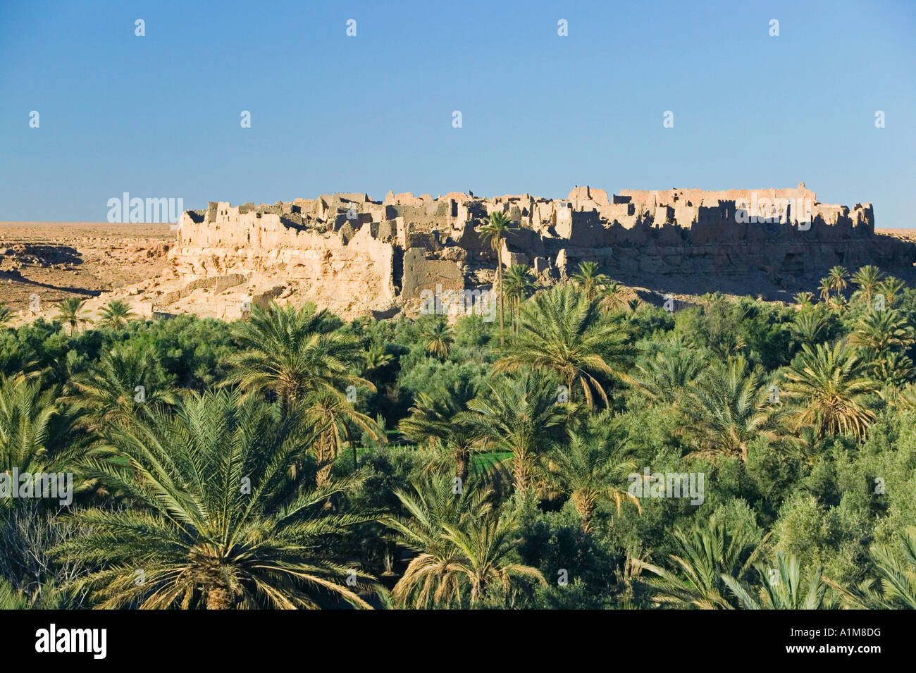 Rovine della Vecchia Kasbah & Palmerie, Meski, Ziz Valley, Marocco Foto Stock