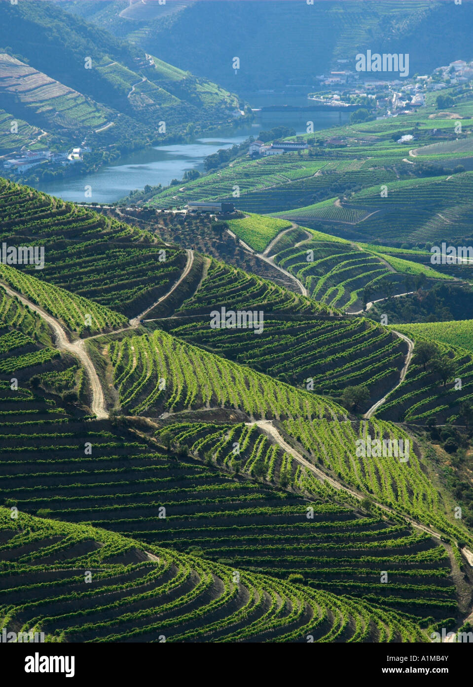 Fiume Douro, Douro, il Nord del Portogallo Foto Stock