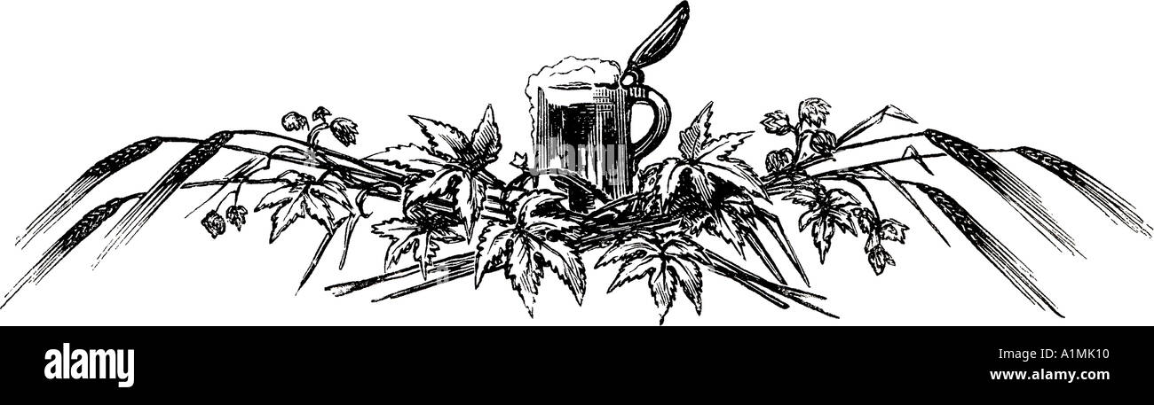 Il boccale con il luppolo e spighe di grano illustrazione Foto Stock