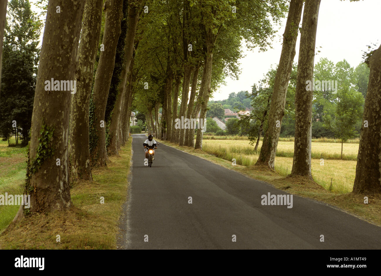 Alberato con roadscape moror ciclista nella valle Droone Francia Foto Stock
