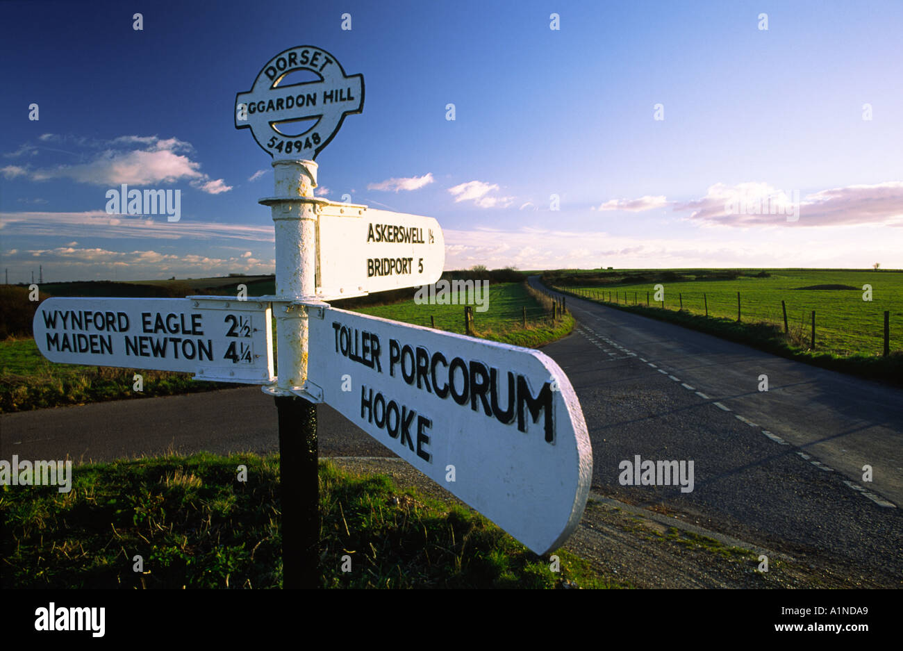 Eggardon Hill cartello stradale nella contea di Dorset England Regno Unito Foto Stock