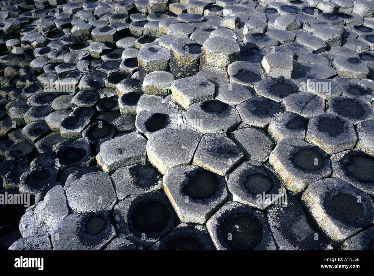 Giant's Causeway. Sito del Patrimonio mondiale. Foto Stock