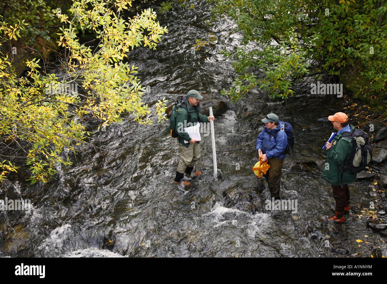Il personale della pesca eseguire surverys stream in Cooper Creek Kenai Peninsula Chugach National Forest Alaska Foto Stock