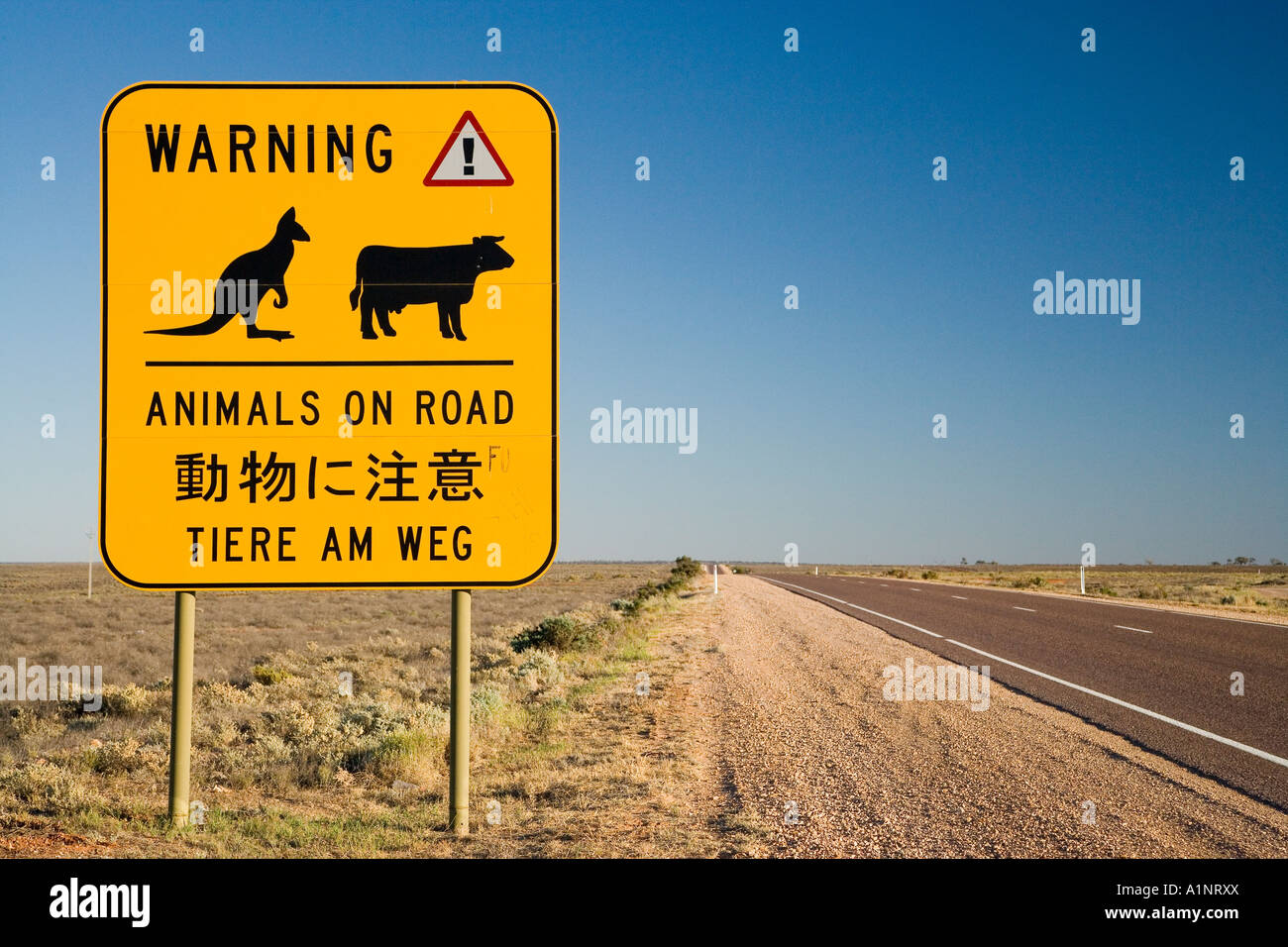 Gli animali su strada segno di avvertimento Stuart Highway vicino a Port Augusta Outback South Australia Australia Foto Stock