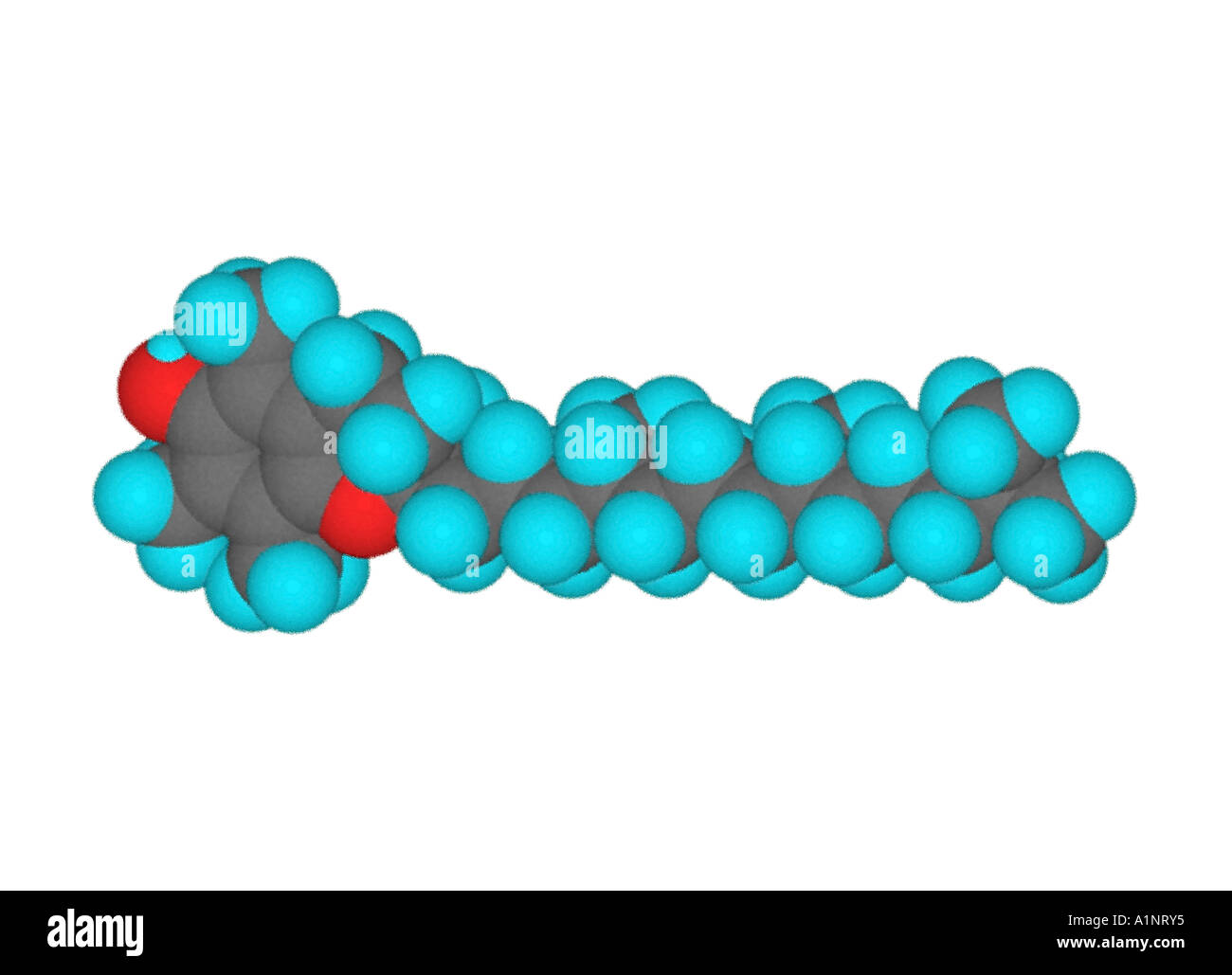 Modello di computer 3D di vitamina E molecola Foto Stock