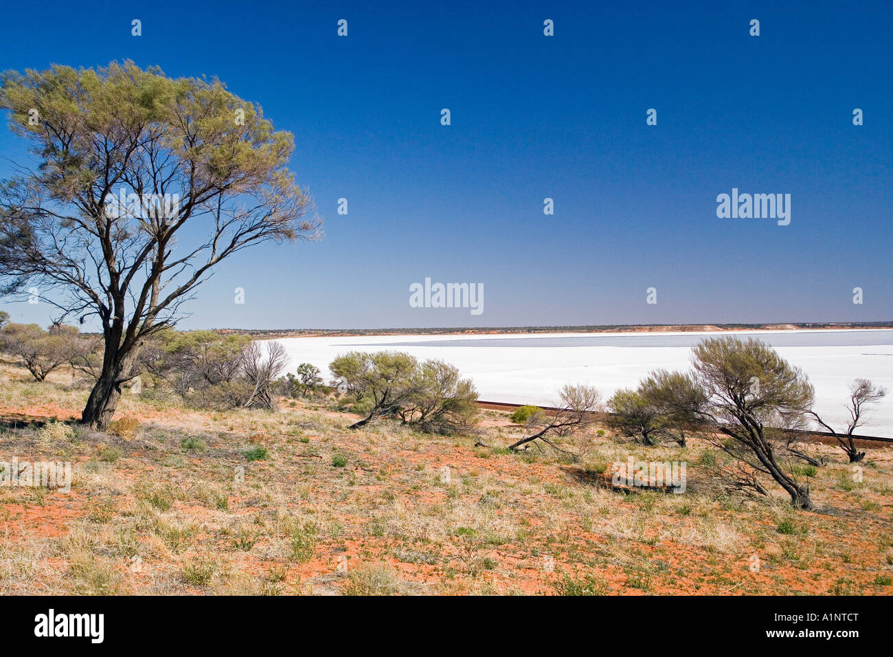 Il lago di Hart Stuart Highway vicino a Woomera Outback South Australia Australia Foto Stock