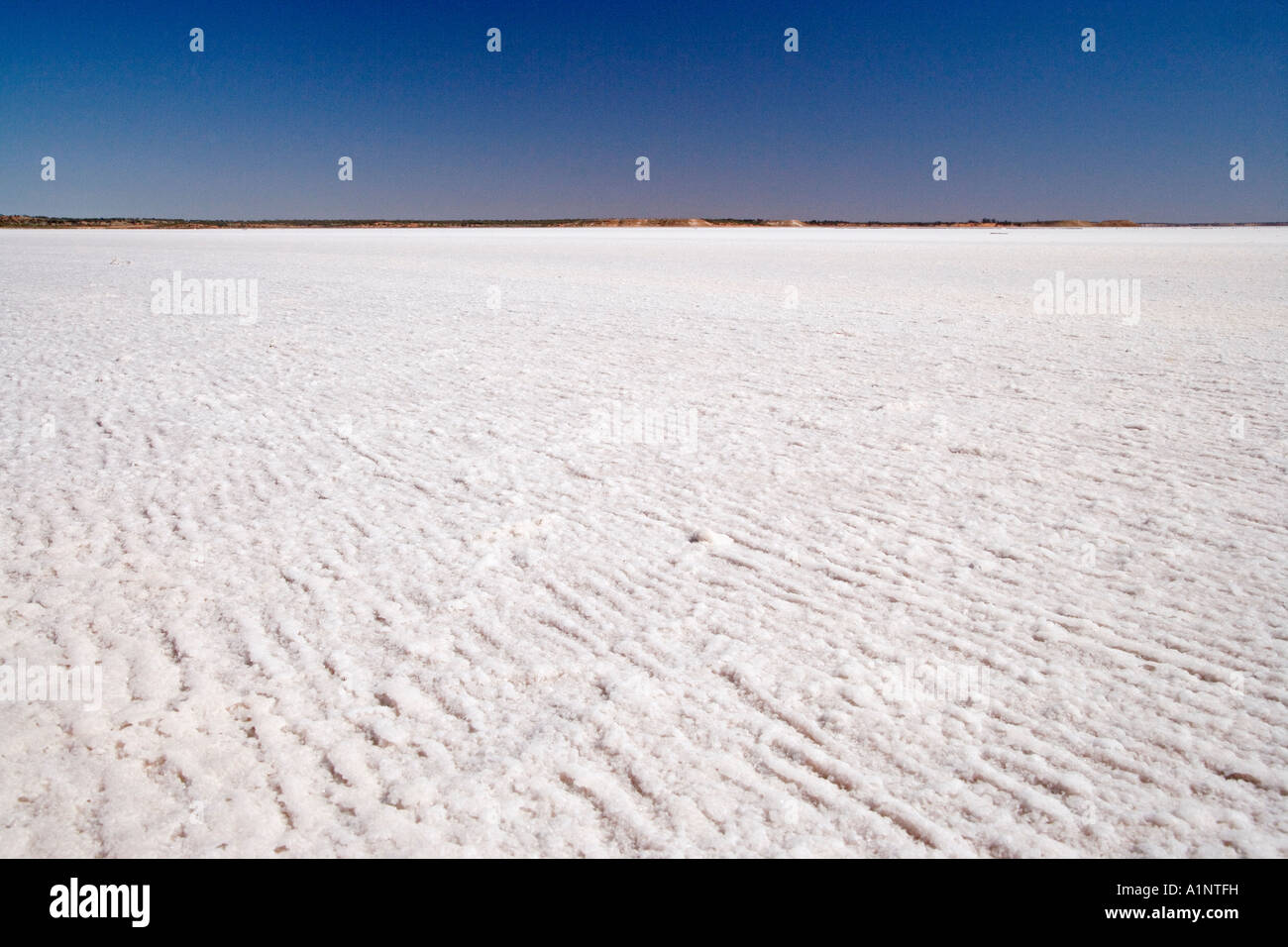 Crosta di sale Lago Hart Stuart Highway vicino a Woomera Outback South Australia Australia Foto Stock