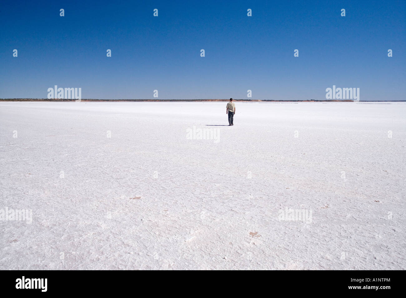 Persona che cammina sul Lago di Hart Stuart Highway vicino a Woomera Outback South Australia Australia Foto Stock