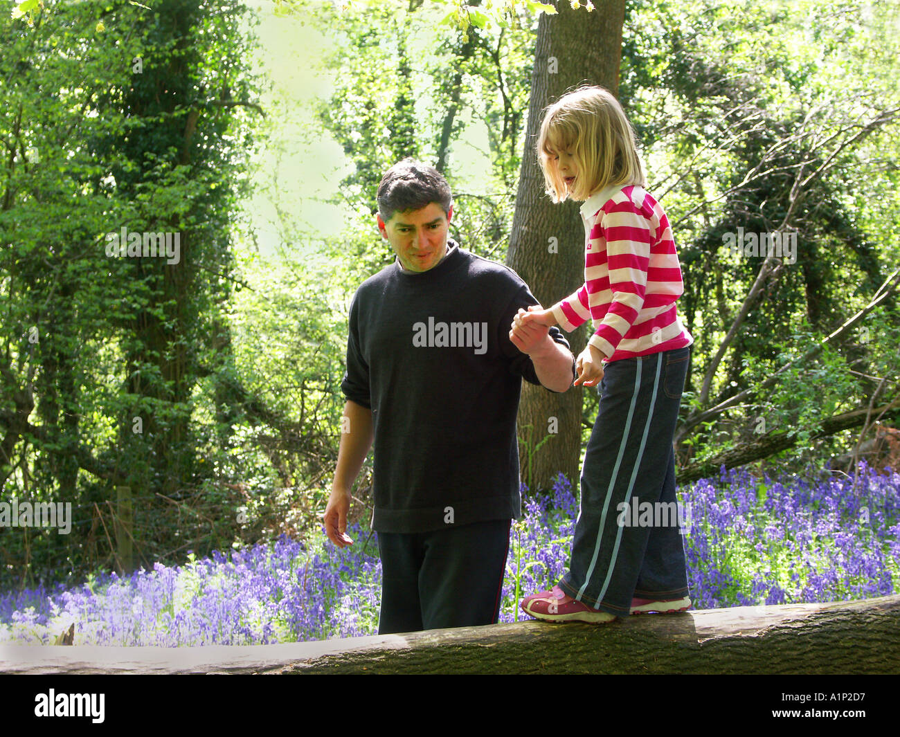 Padre e figlia in bluebell legno, vicino a Newport South Wales UK RM1 Foto Stock