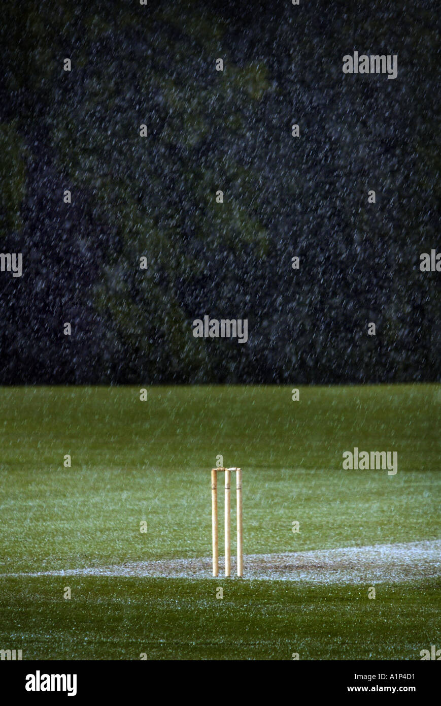 Un set di cricket di monconi nel mezzo di un acquazzone. Foto Stock